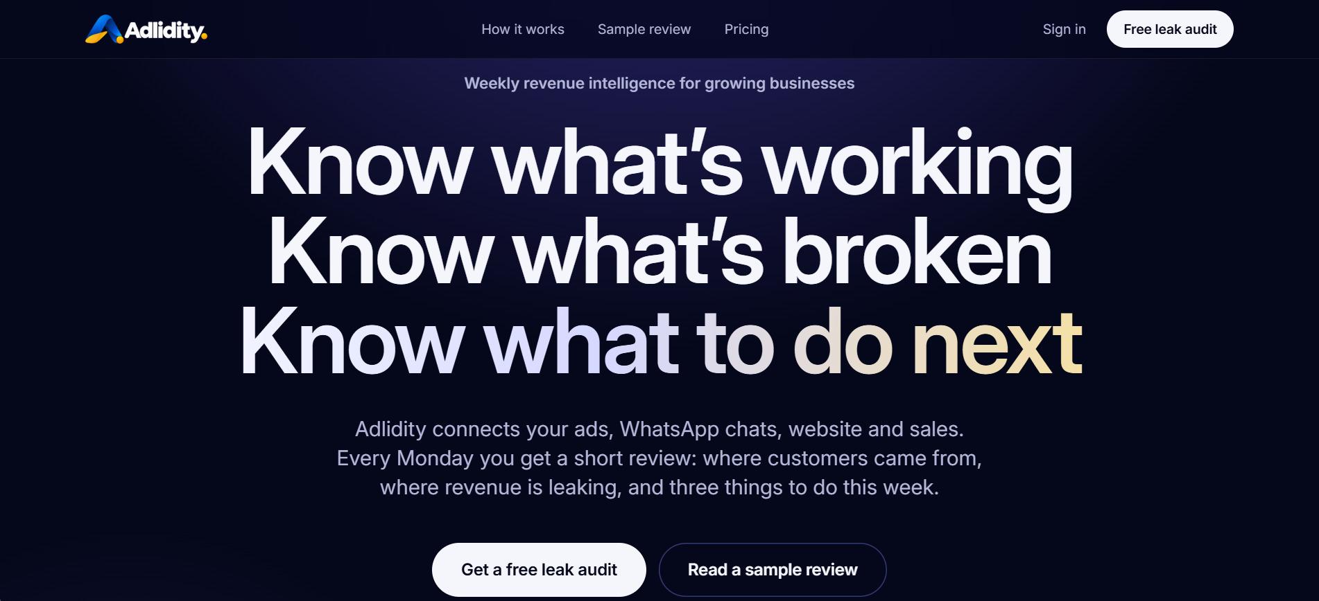 Adlidity homepage: “Know what’s working. Know what’s broken. Know what to do next”, with buttons to get a free leak audit or read a sample review